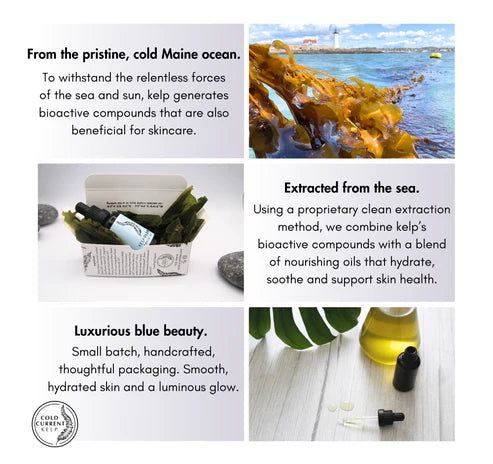 Cold Current Kelp Facial Oil Mini - Coastal Lavender