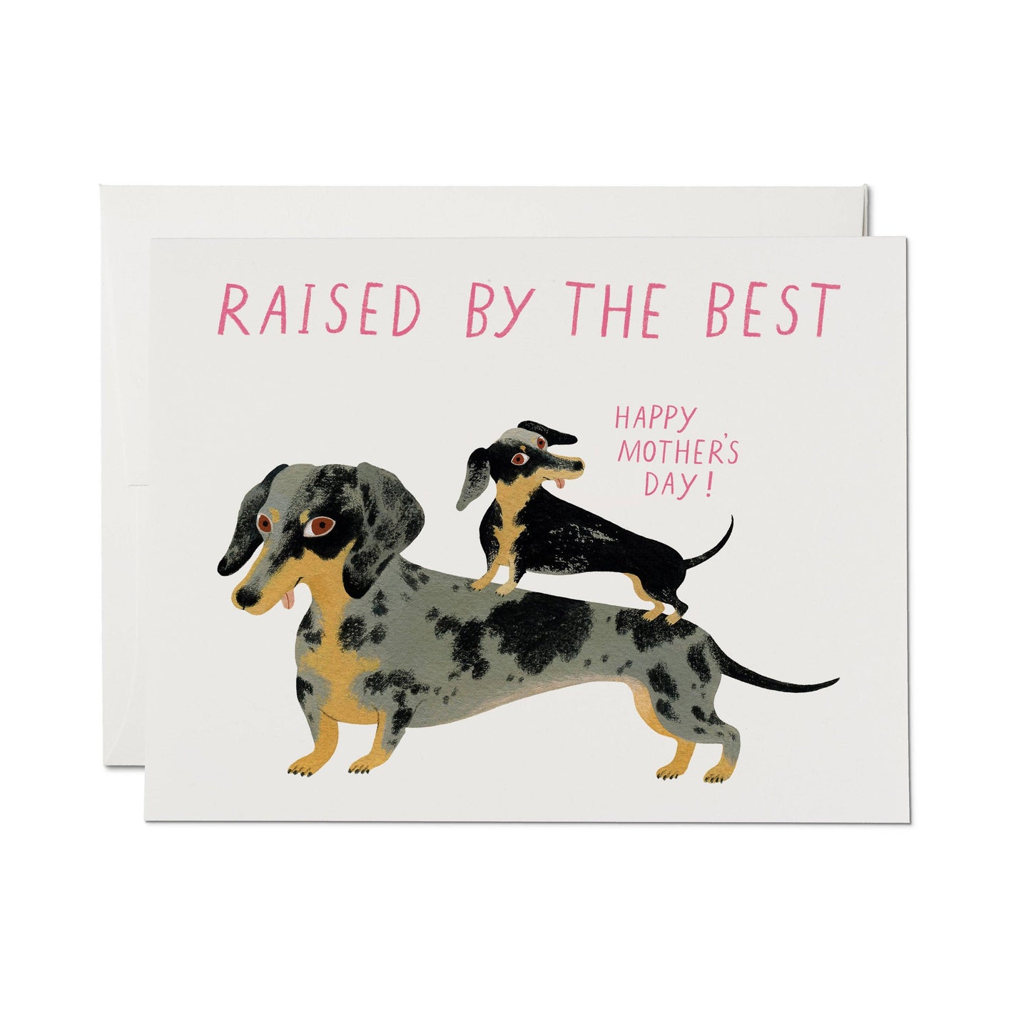 Raised by the Best Mother's Day card