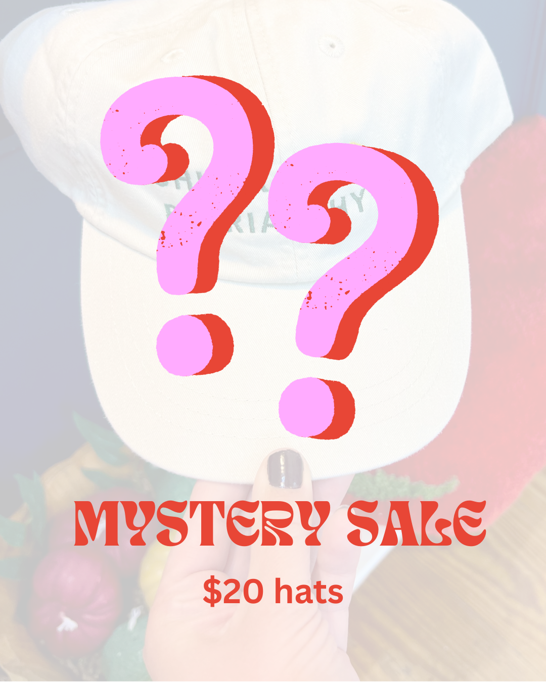 Mystery Sale Baseball Hat