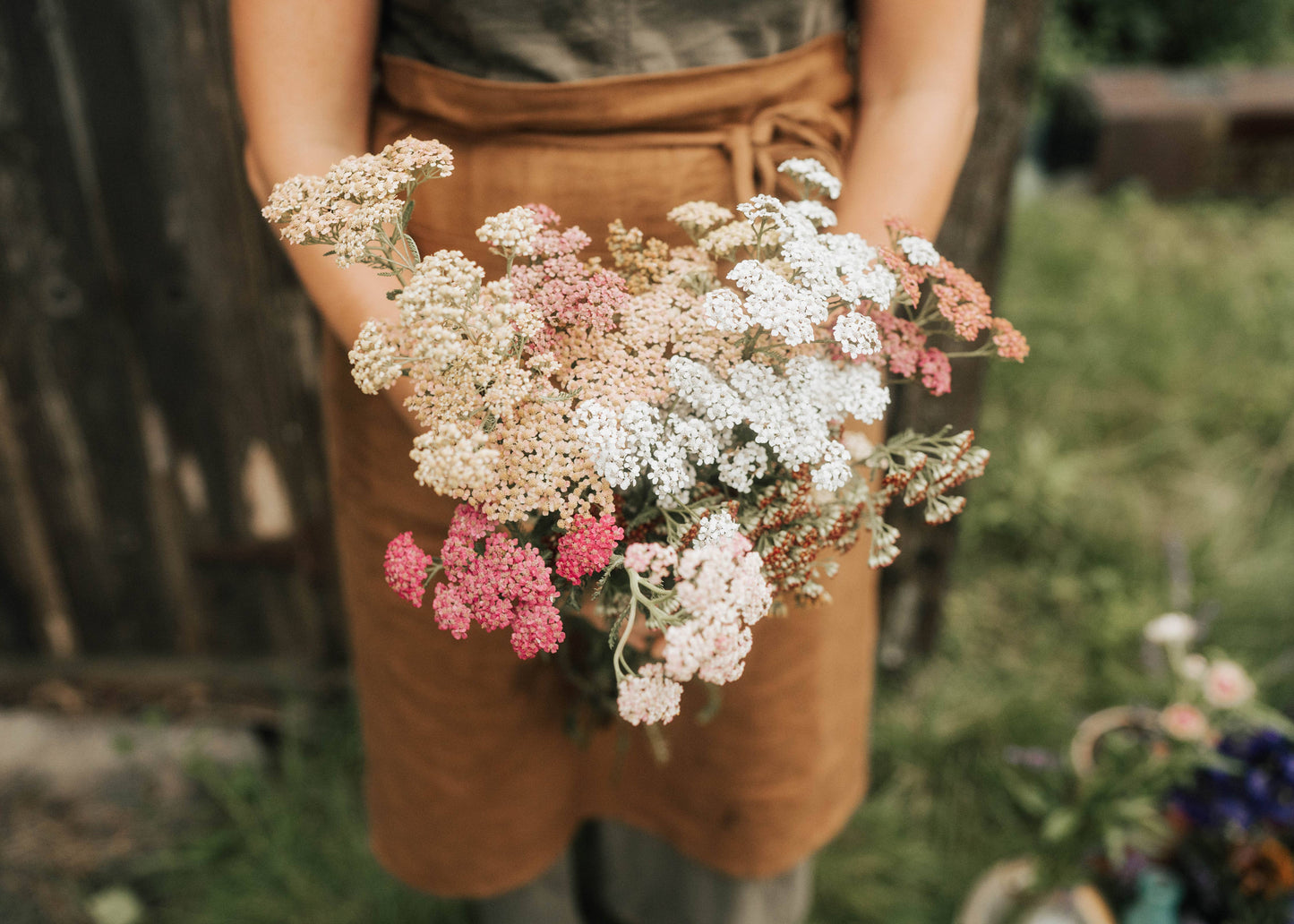 Foxglove Farmhouse - Yarrow Summer Berries Seeds