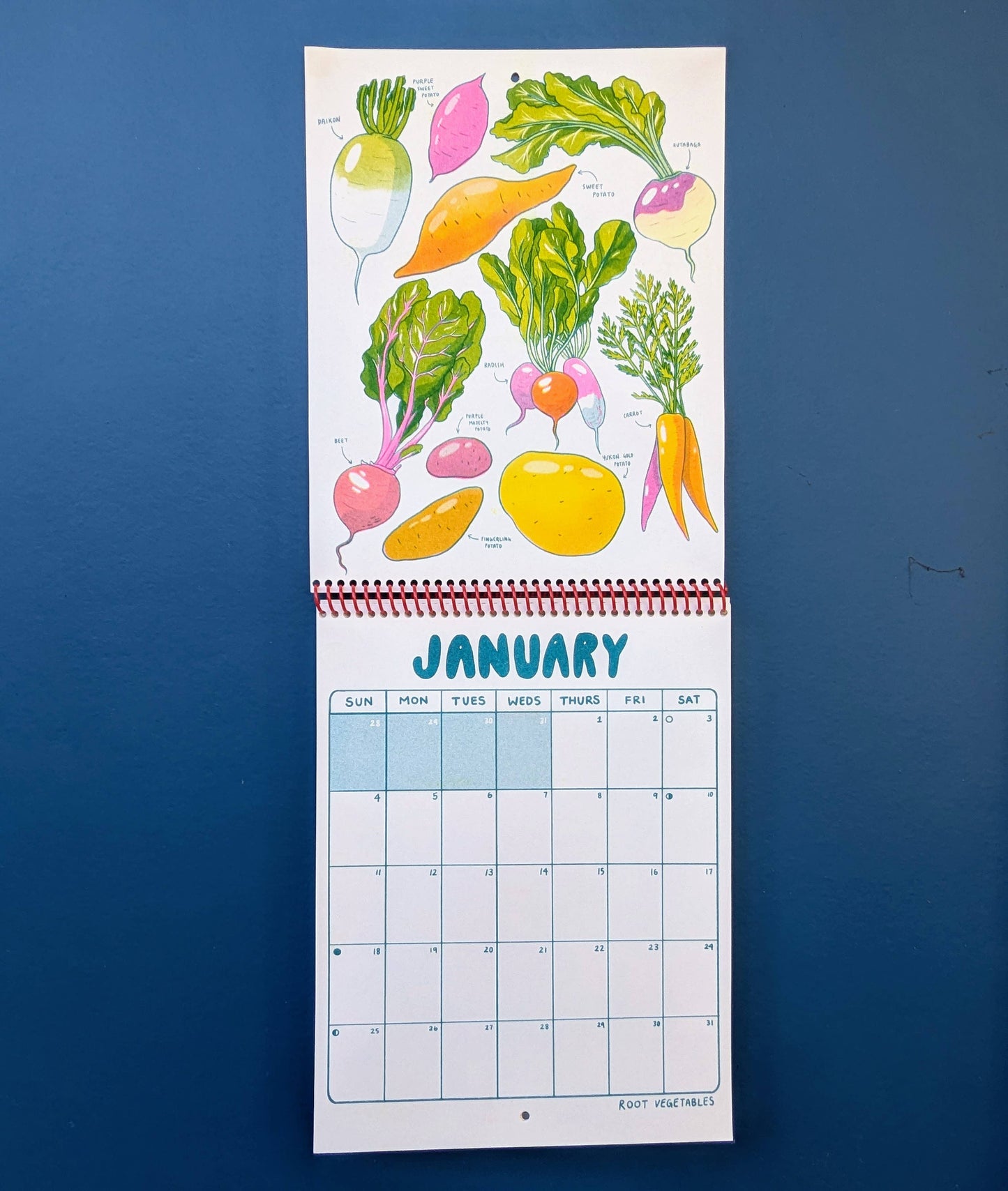 2026 Seasonal Produce Risograph Calendar- Christina Hu