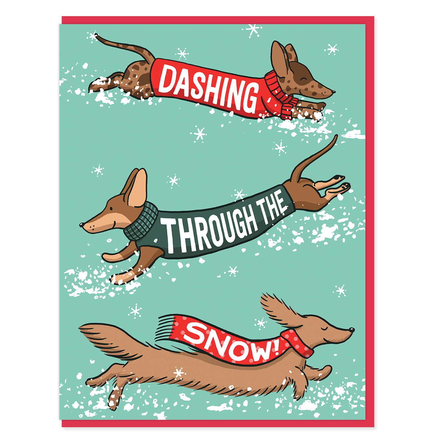 Dashing Dogs Holiday Card
