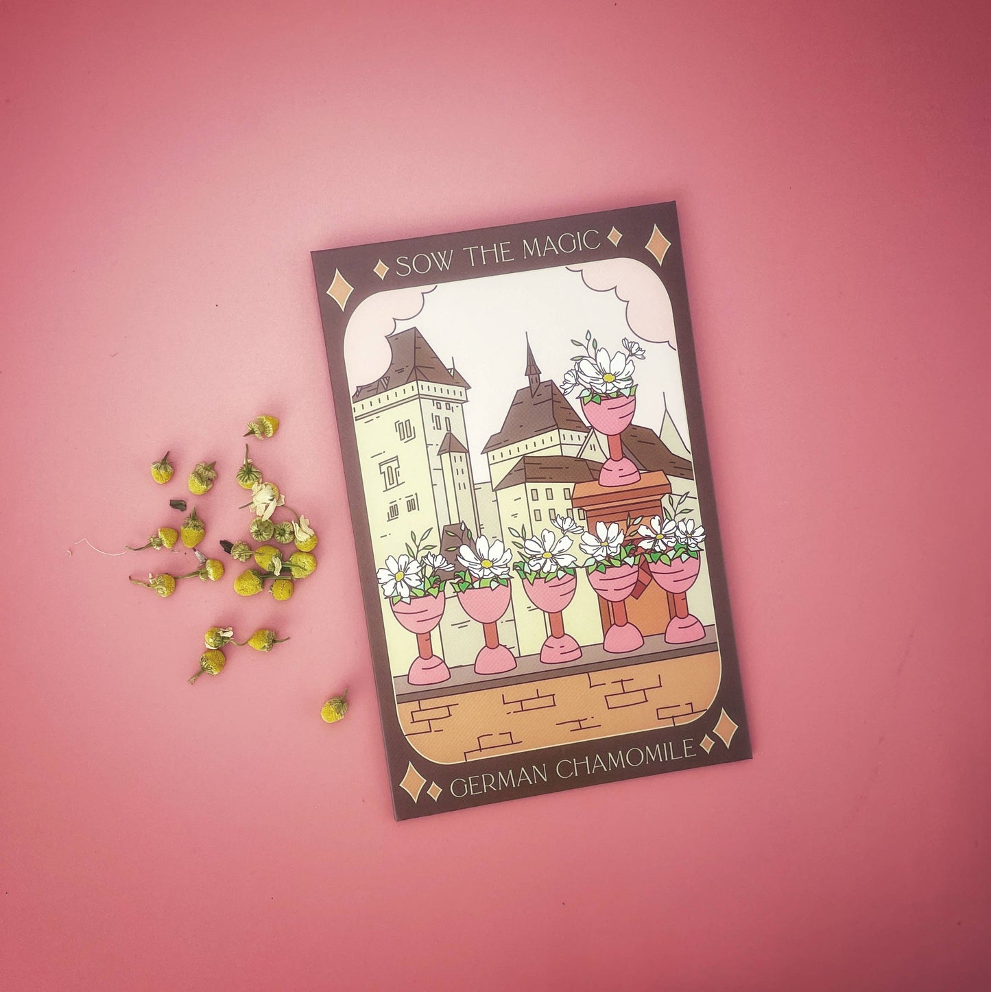Sow the Magic - German Chamomile Tarot Garden + Gift Seed Packet