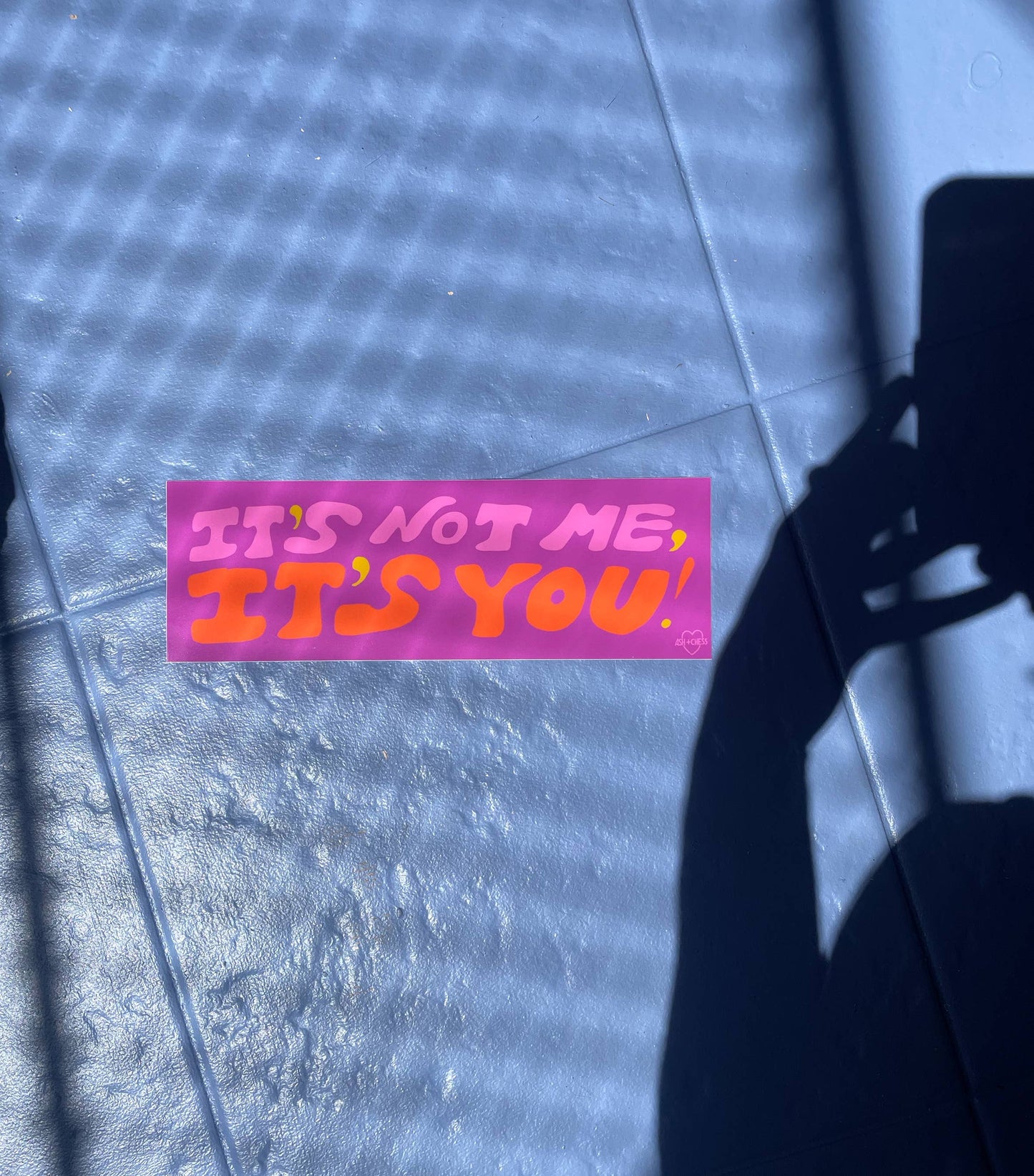 Ash + Chess - Bumper Sticker - It's Not Me, It's You