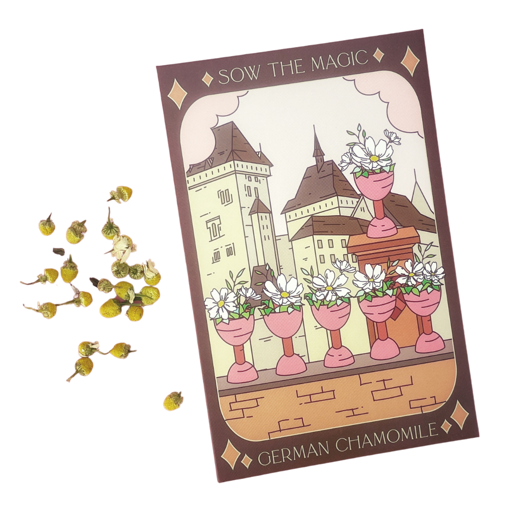 Sow the Magic - German Chamomile Tarot Garden + Gift Seed Packet