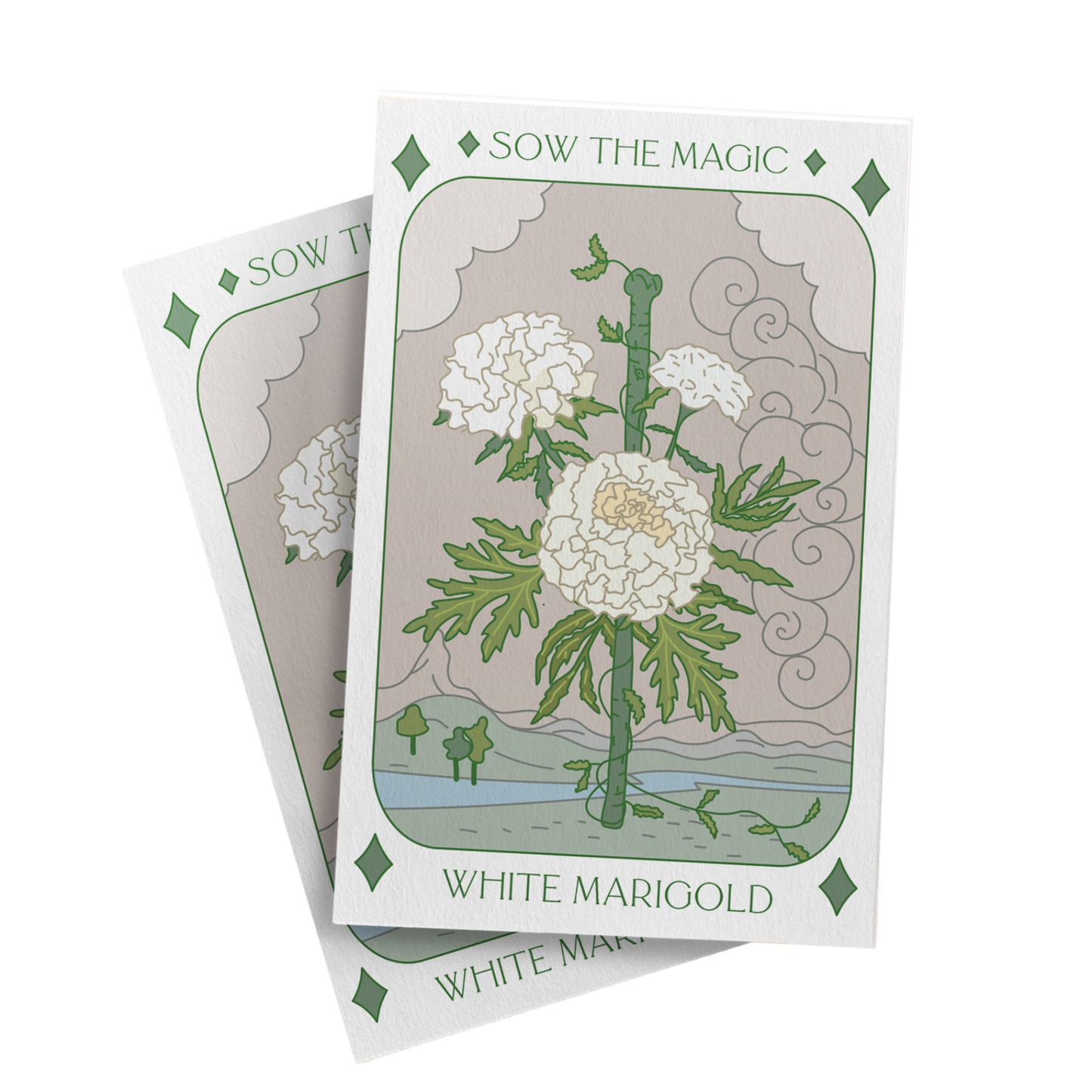 Sow the Magic - White Marigold Tarot Seed Packet