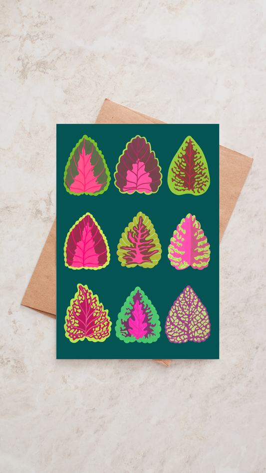Daphne Rae Creative - Coleus Cards (5)