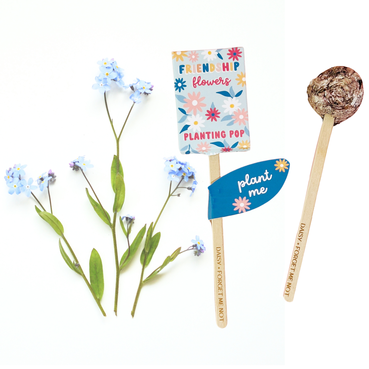 Sow the Magic - Friendship Flowers Garden + Gift Seed Planting Pop
