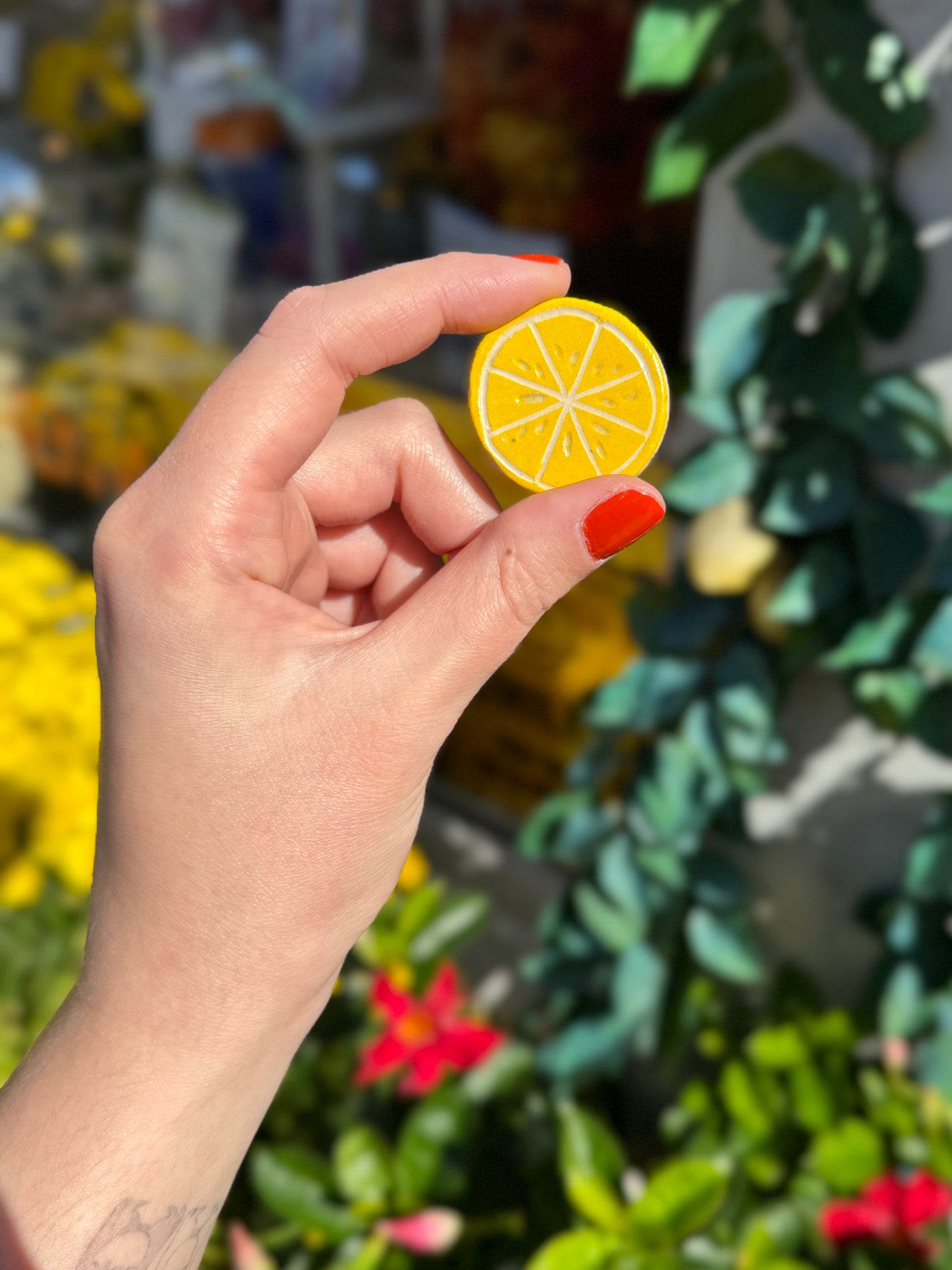 Fruit Magnet - East Transit Pottery