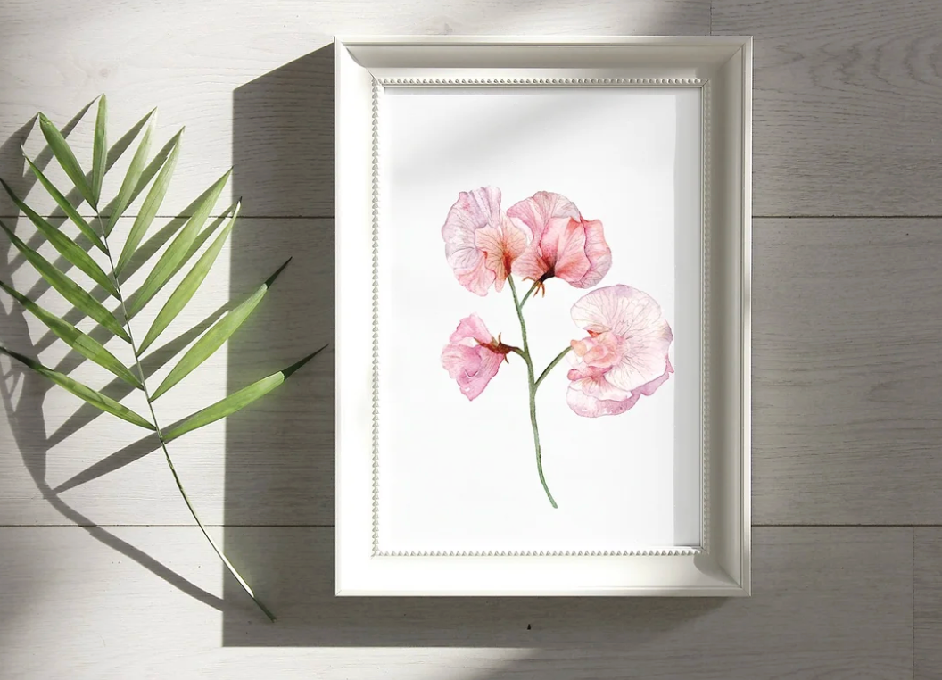 StudioReta - Sweet Pea Print