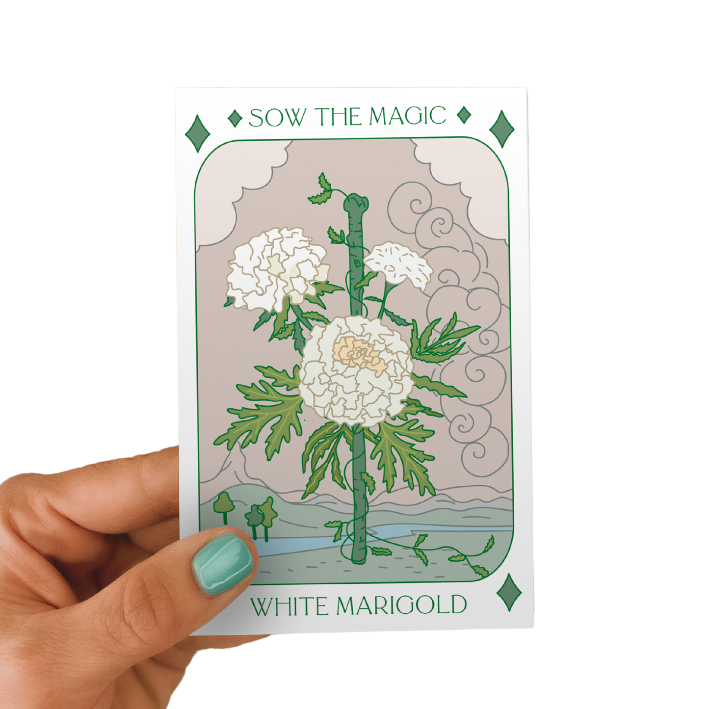 Sow the Magic - White Marigold Tarot Seed Packet