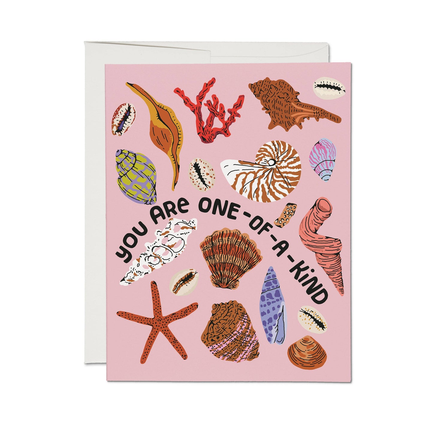 Special Seashell greeting card