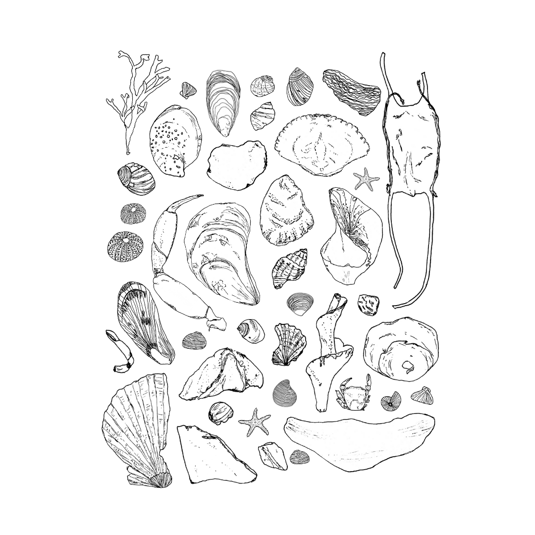 Sarah Wormann Art - Beachcombing: 8"x10"