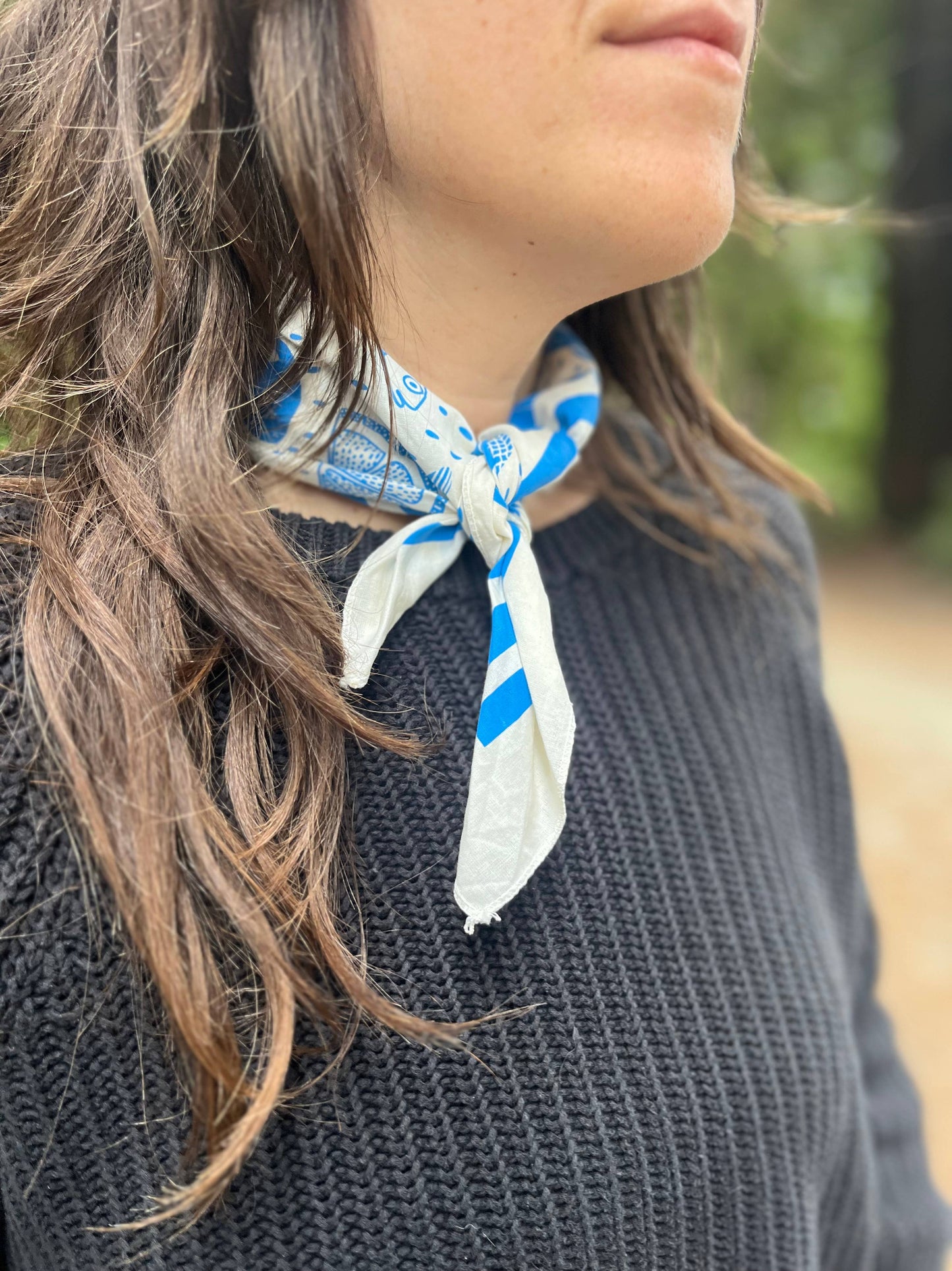 Summer Picnic Bandana- Pen+Pine