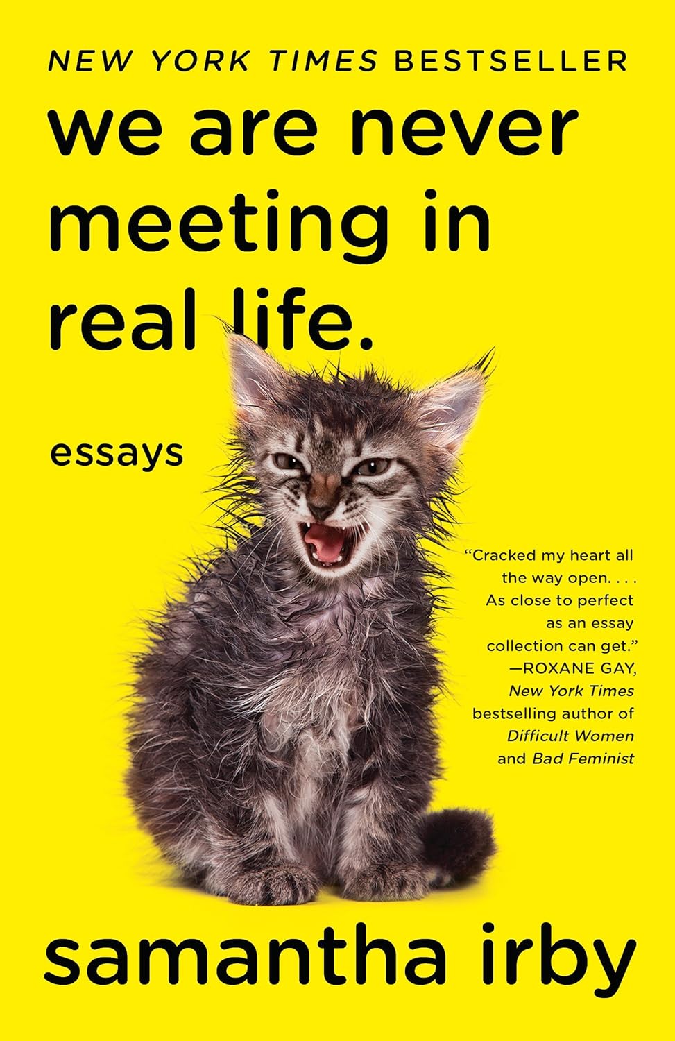 Samantha Irby- We Are Never Meeting in Real Life.