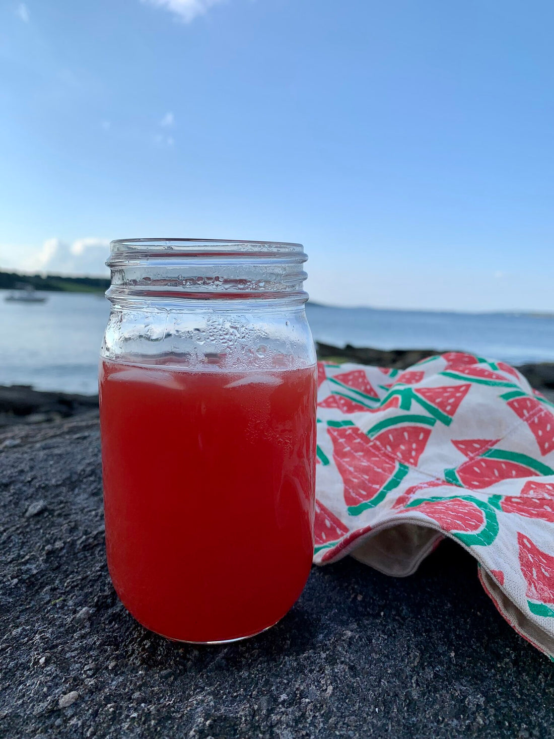 HIBISCUS WATERMELON RUM PUNCH