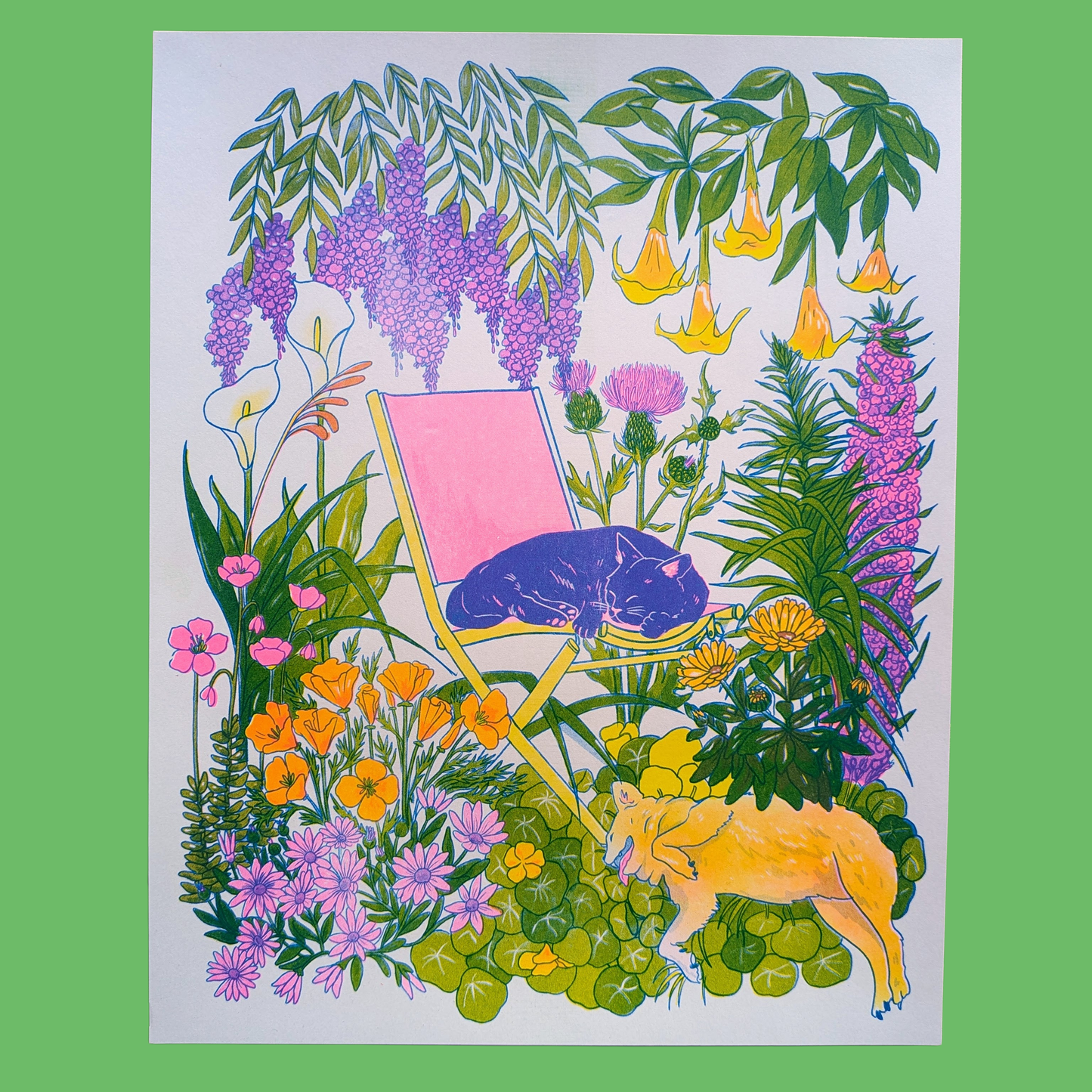 California Wildflowers + Friends print | Christina Hu