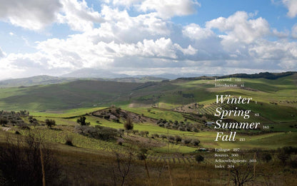 Coming Home to Sicily Cookbook by Fabrizia Lanza
