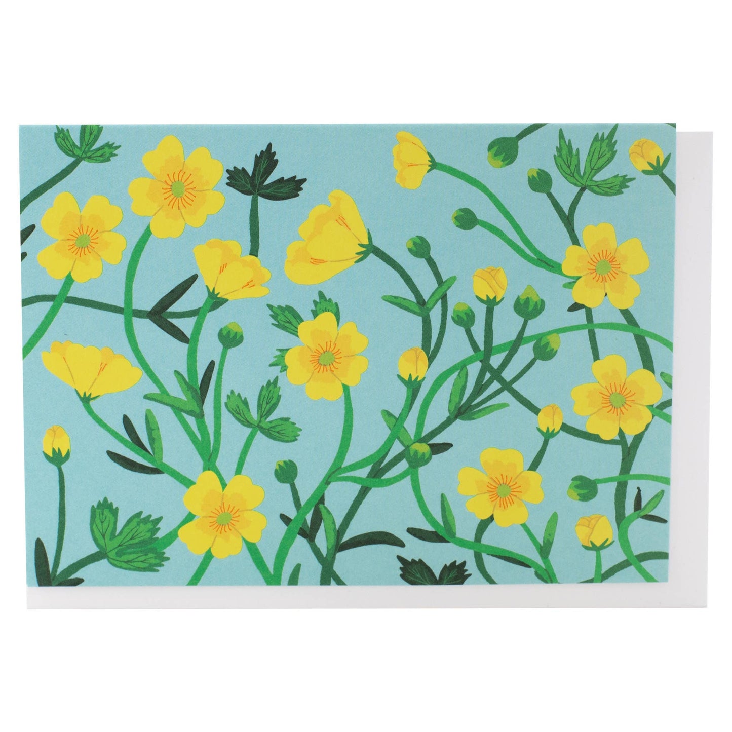 Assorted Springtime Florals Note Card Set