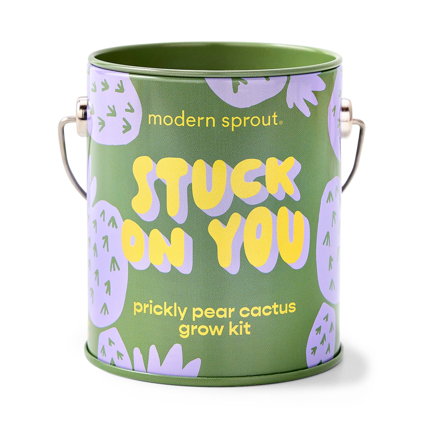 Modern Sprout Grow Kits: Awesome Sauce