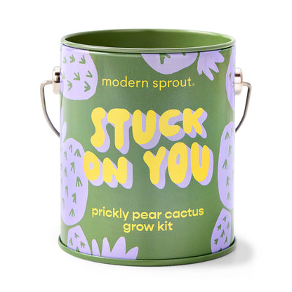 Modern Sprout Grow Kits: Awesome Sauce