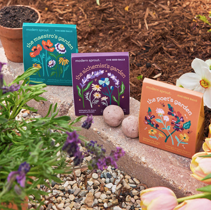 Bespoke Blooms: The Maestro's Garden