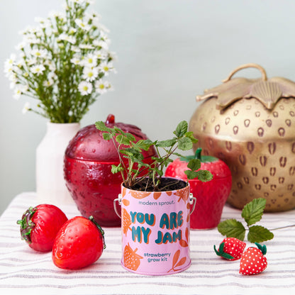 Modern Sprout Grow Kits: You are My Jam