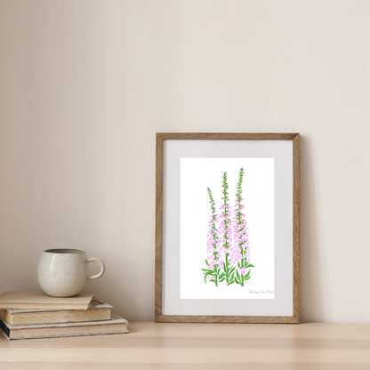 Foxglove Botanical Art Print