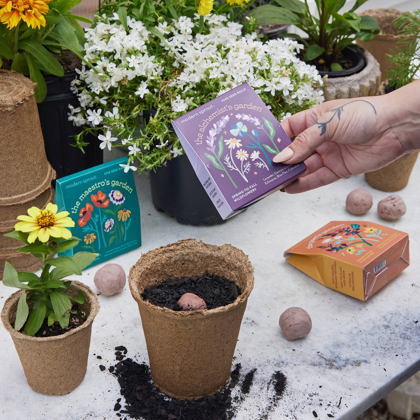 Bespoke Blooms: The Maestro's Garden