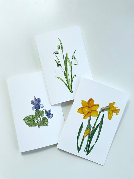 StudioReta - Flowers of Spring Greeting Card ~ daffodil greeting card