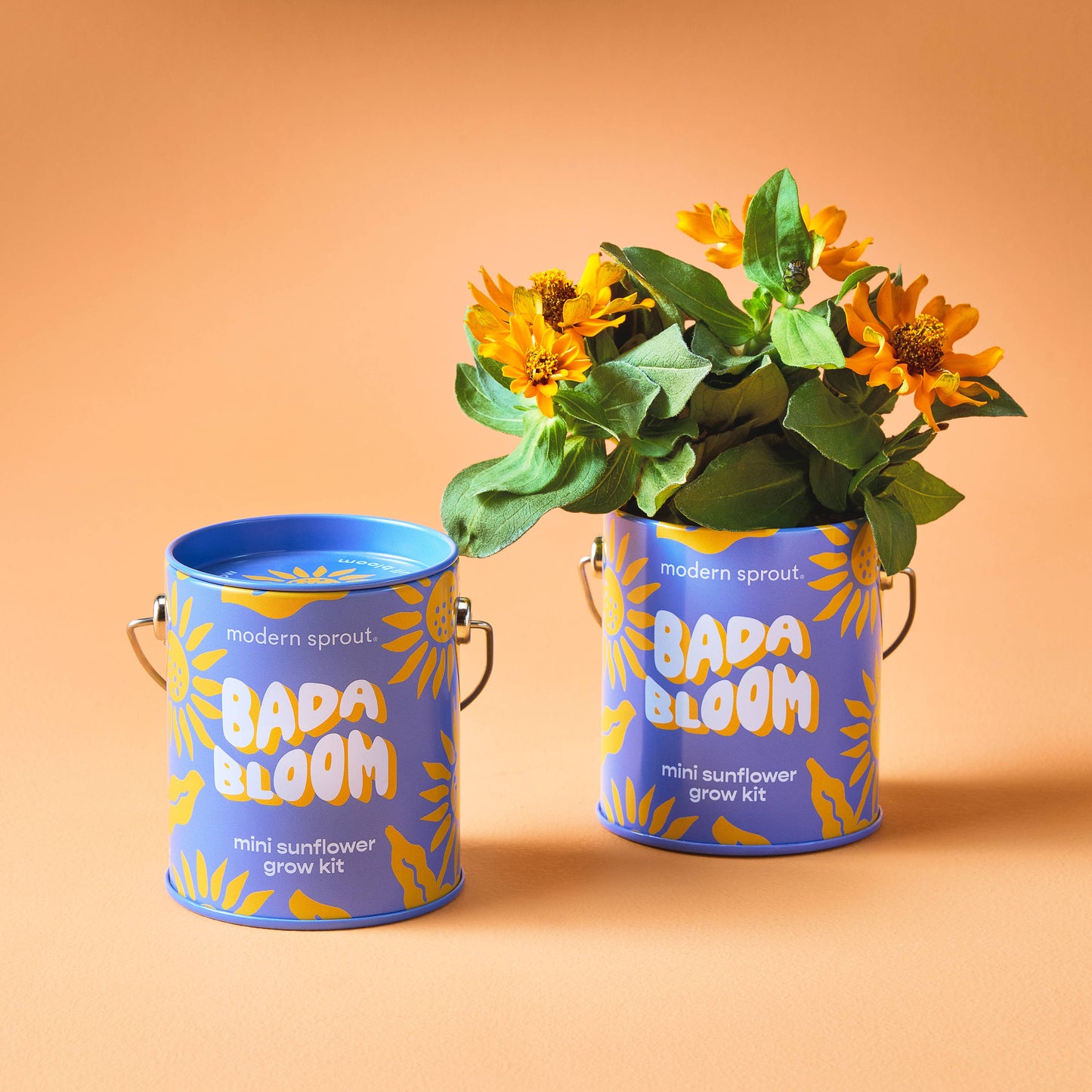 Modern Sprout Grow Kits: Awesome Sauce