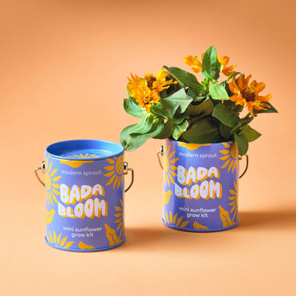Modern Sprout Grow Kits: Awesome Sauce