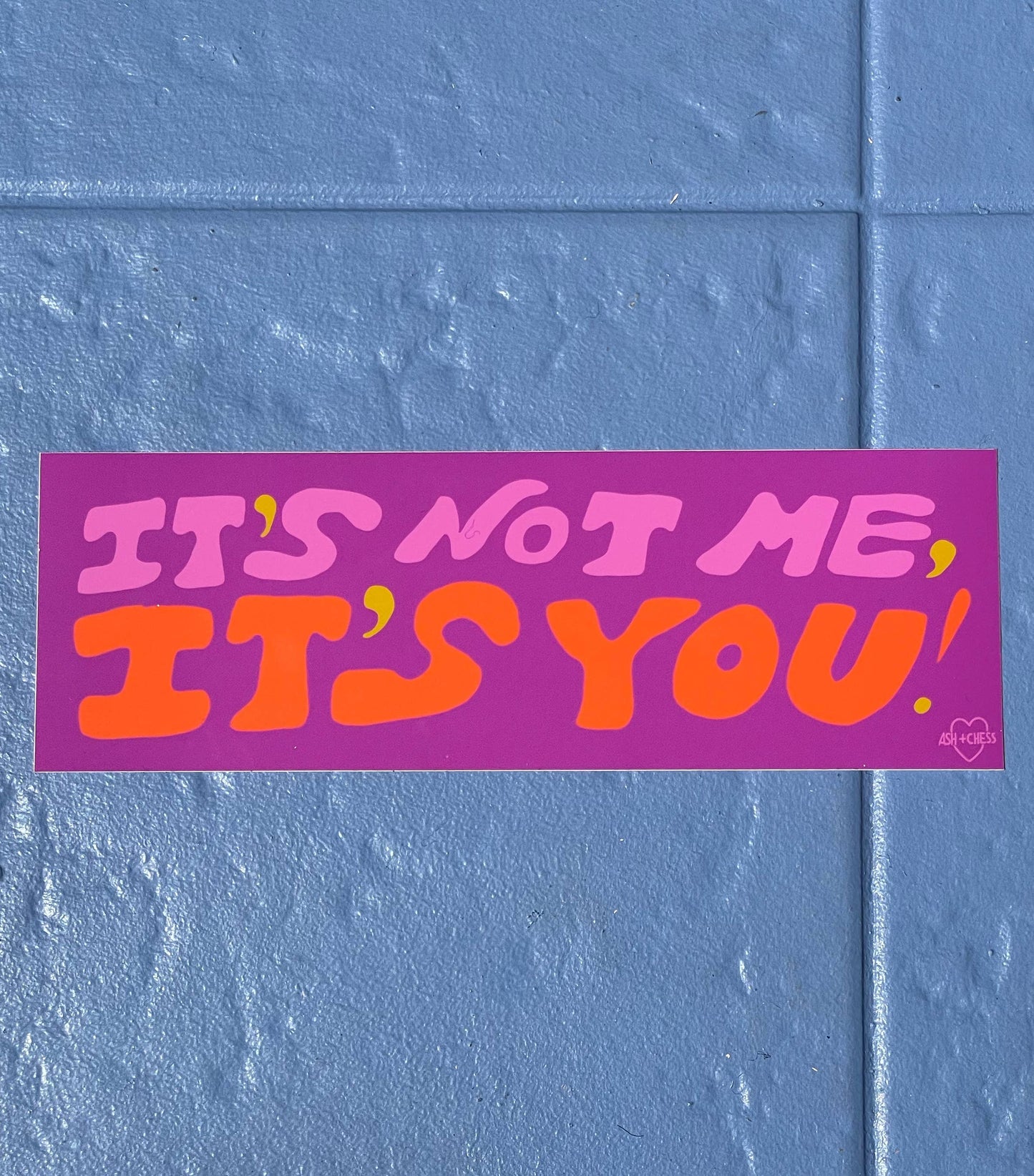 Ash + Chess - Bumper Sticker - It's Not Me, It's You