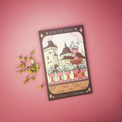 Sow the Magic - German Chamomile Tarot Garden + Gift Seed Packet