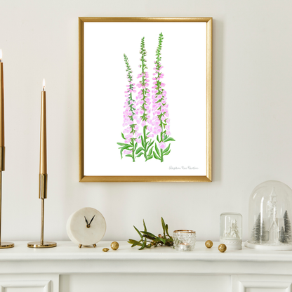 Foxglove Botanical Art Print