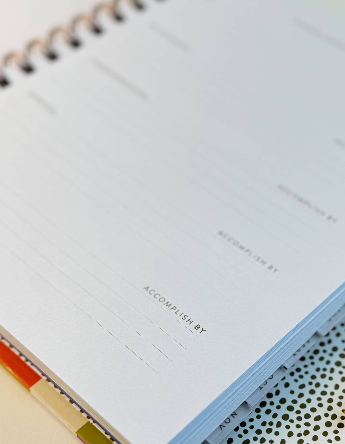Idlewild Co. - 2025 Ditsy Floral Planner