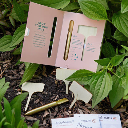 Seed Library: Culinary Herbs