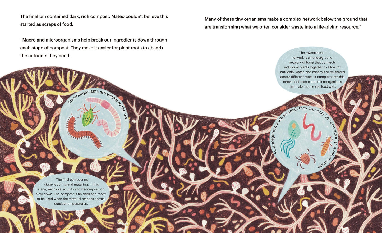 Composting for Community: A STEM Kids Picture Book (Ages 3+)