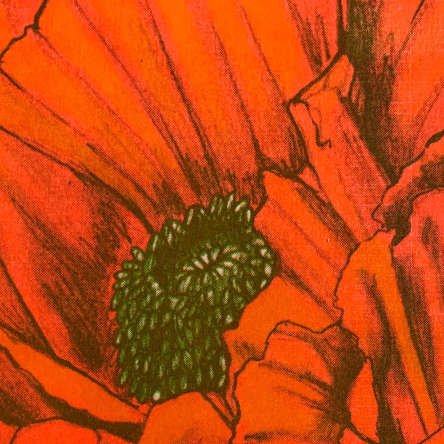Poppy Risogprah Print