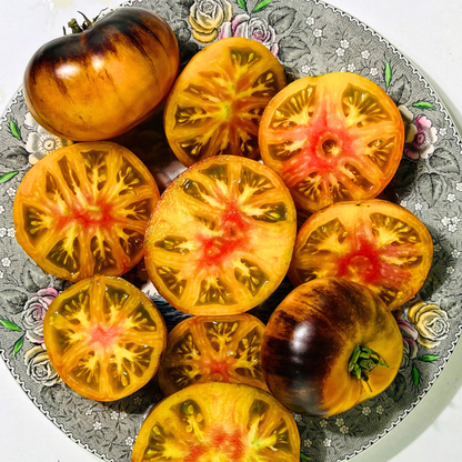 Lucid Gem Tomato Tarot Garden + Gift Seed Packet - Sow the Magic