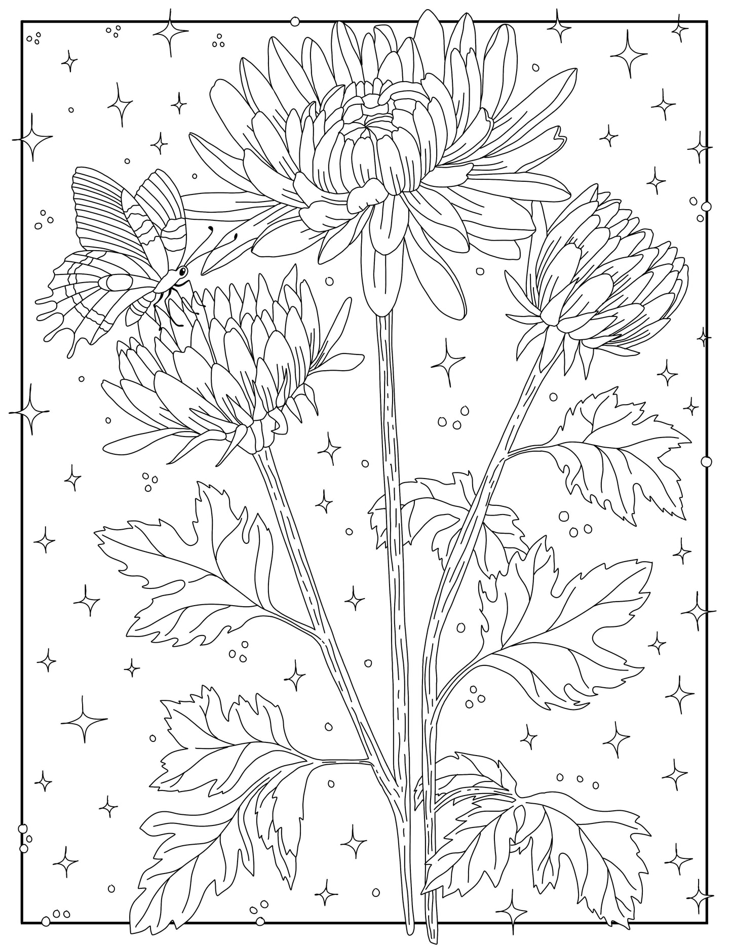 Coloring Through the Year Coloring Book- Pen+Pine