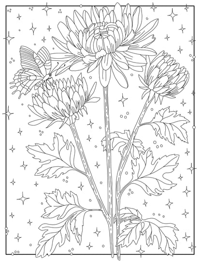 Coloring Through the Year Coloring Book- Pen+Pine