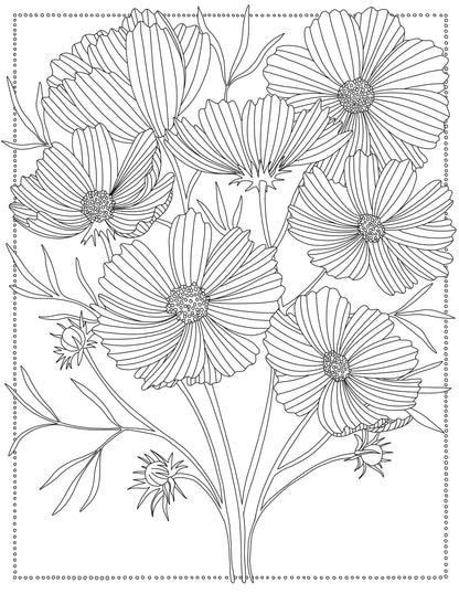 Coloring Through the Year Coloring Book- Pen+Pine