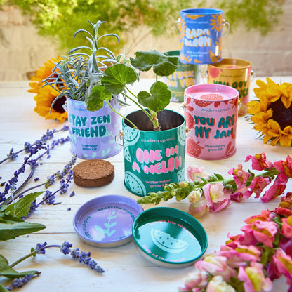 Modern Sprout Grow Kits: You are My Jam