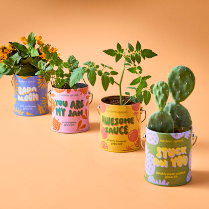 Modern Sprout Grow Kits: You are My Jam