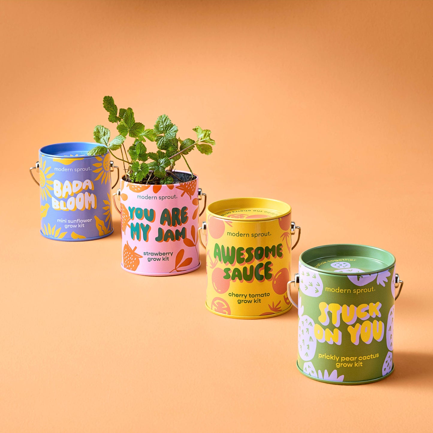 Modern Sprout Grow Kits: Awesome Sauce