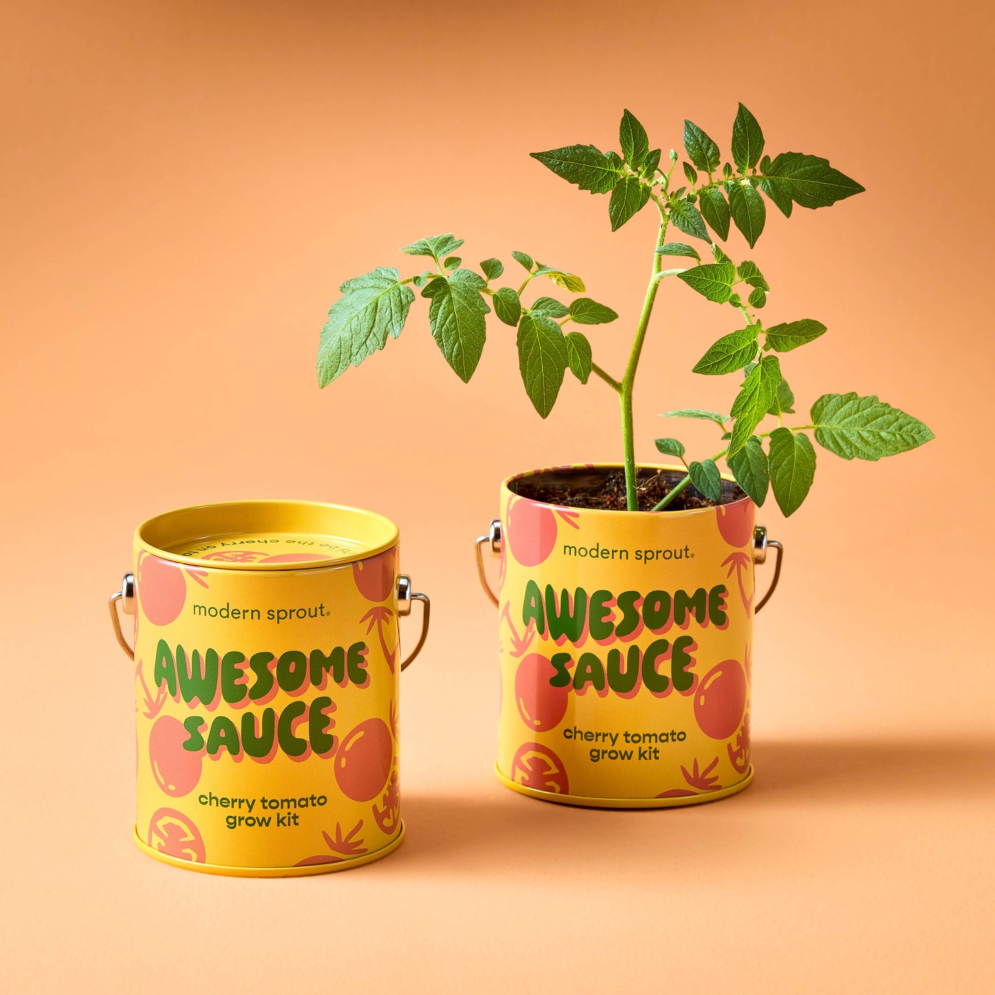 Modern Sprout Grow Kits: Awesome Sauce