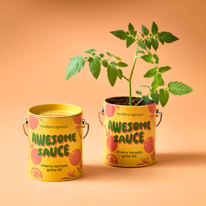 Modern Sprout Grow Kits: Awesome Sauce