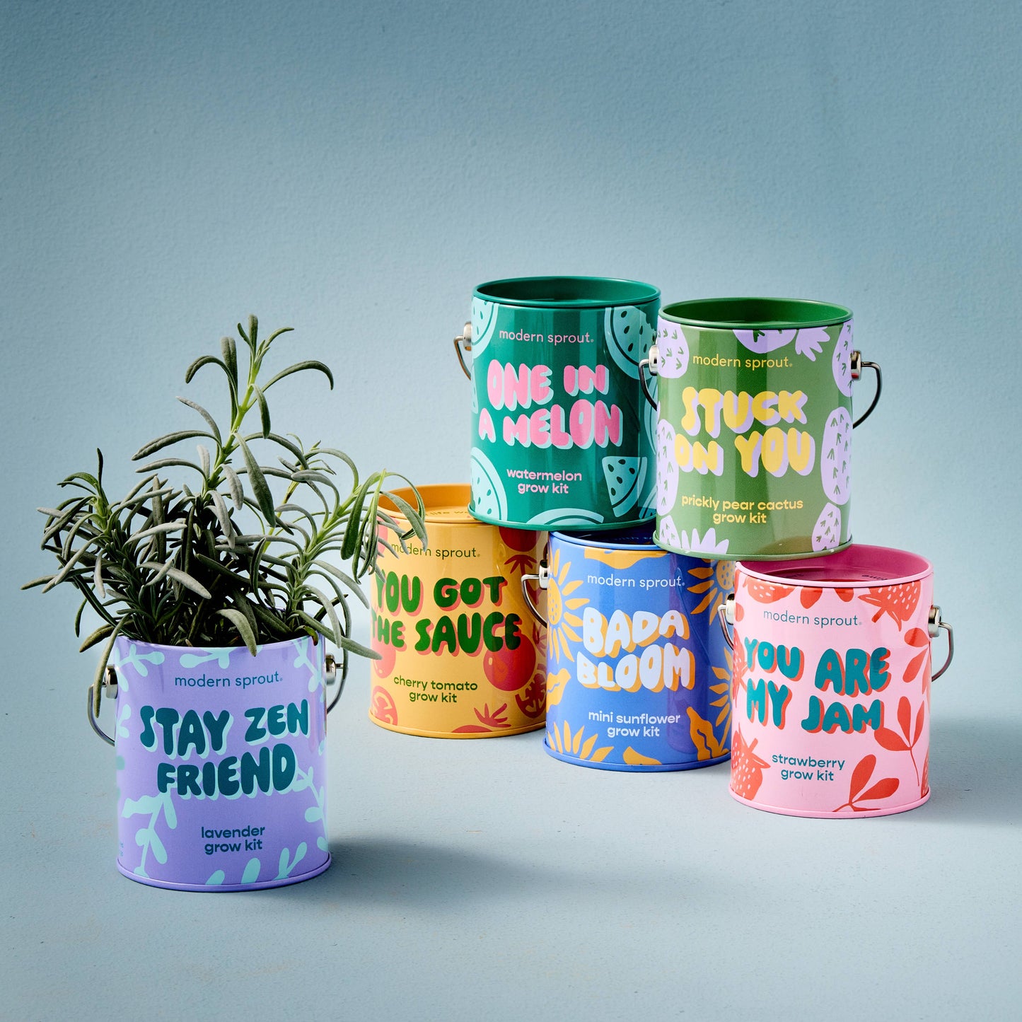Modern Sprout Grow Kits: Awesome Sauce