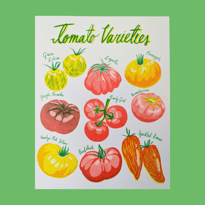 Risograph Tomato Print -Christina Hu